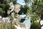 house apartment cavtat